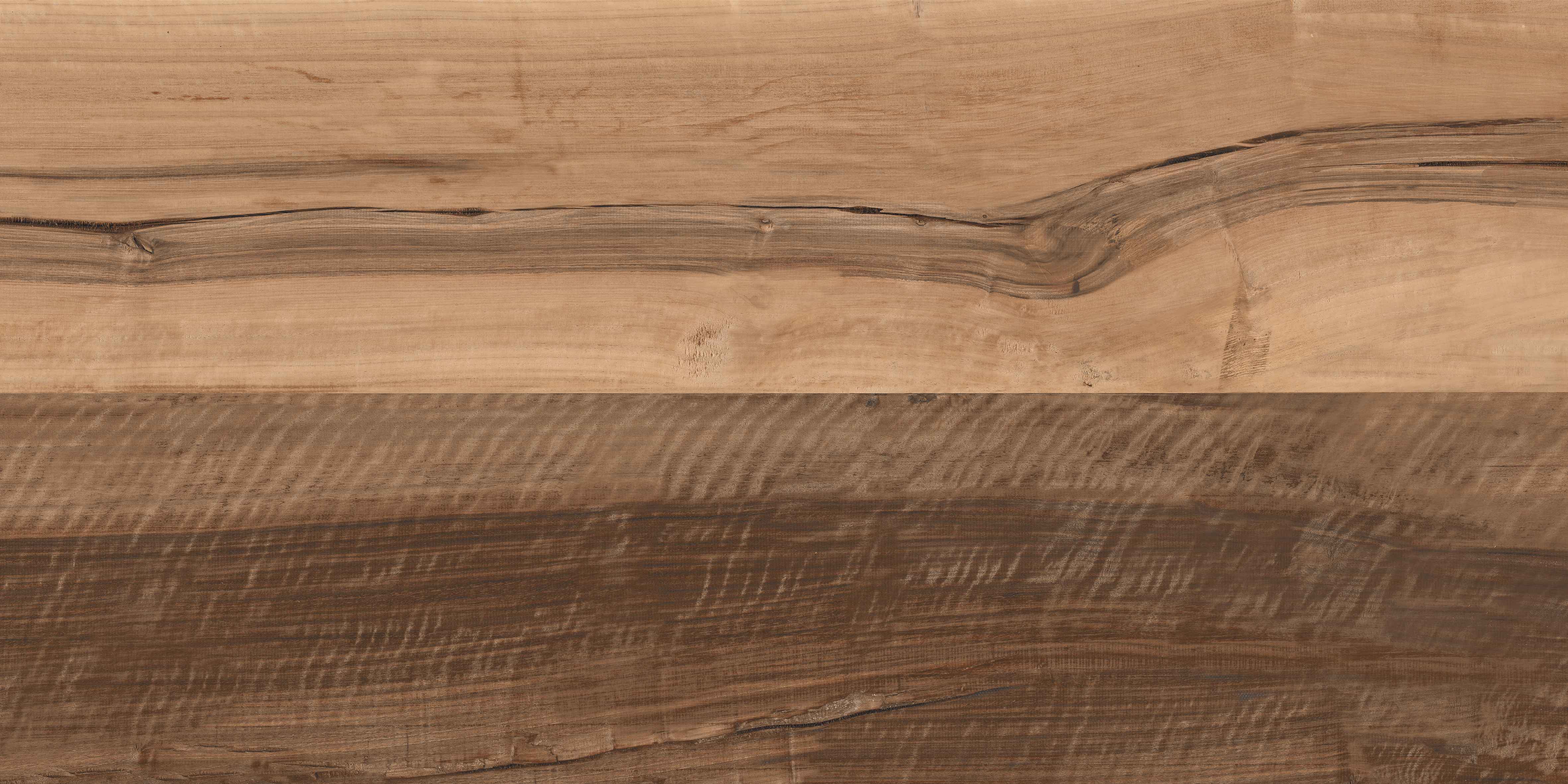 60120VN ANCIENT CEDAR