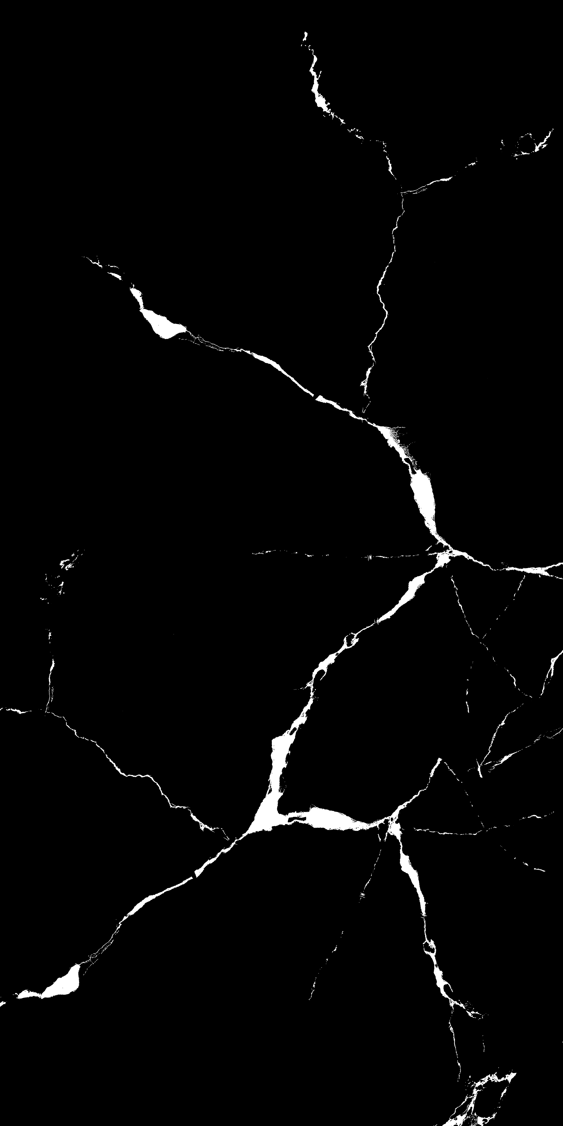 VIDA BLACK-8
