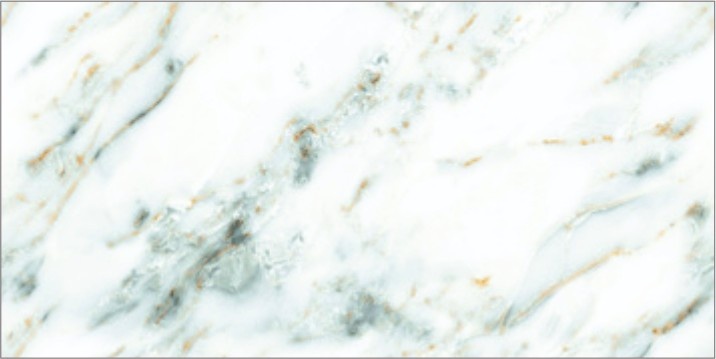 80160CR OCEAN GREEN-4