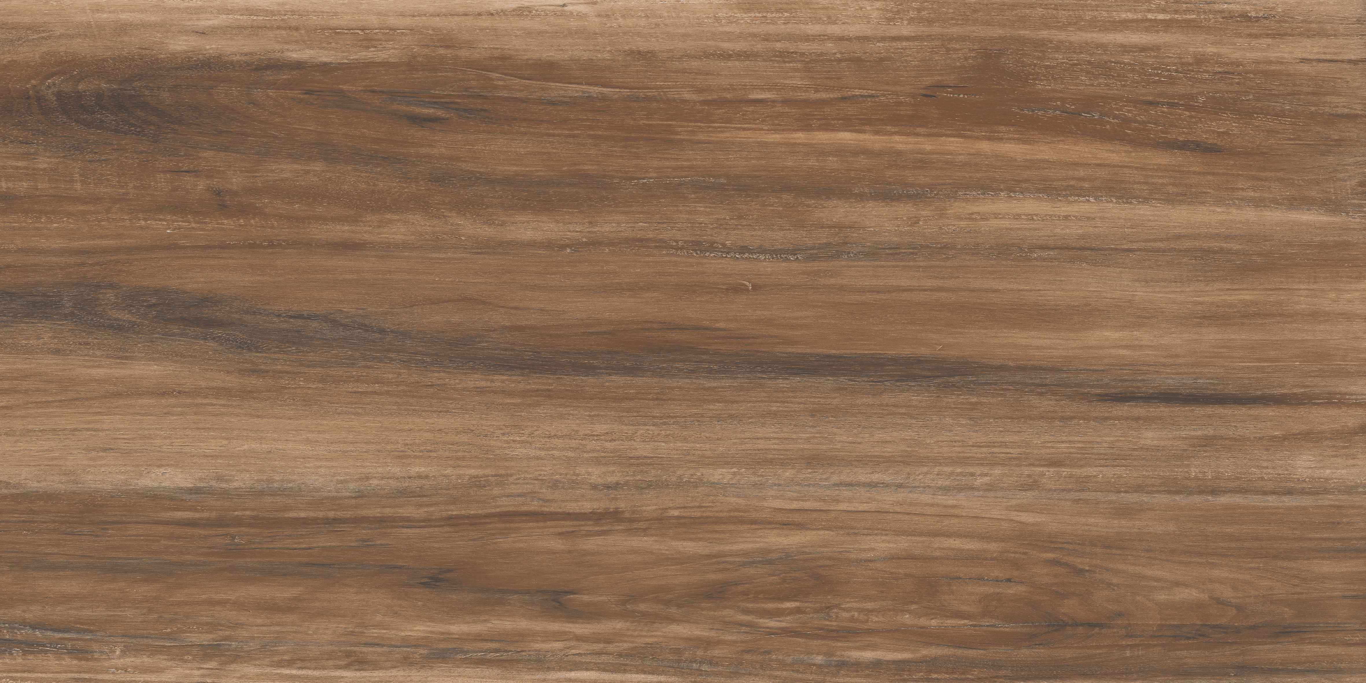 60120VN MOSS COFFEE
