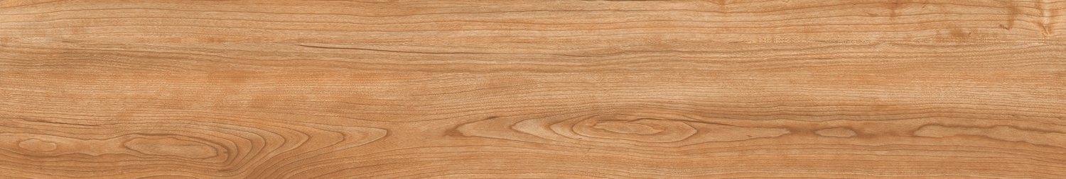 CHESTNUT AVELLANA - 2